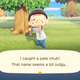 Illustration for article titled iAnimal Crossing: New Horizons /iIs an Instant Self-Isolation Classic